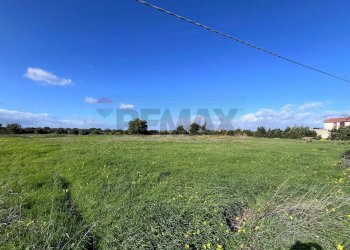 Giardino - Terreno agricolo C.da San Calogero
 
snc, Augusta - foto 3