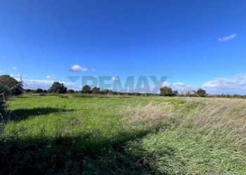 Giardino - Terreno agricolo C.da San Calogero
 
snc, Augusta - foto 7