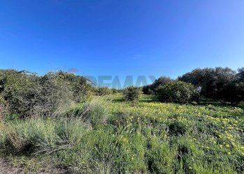 Vista delle montagne - Terreno agricolo C.da San Calogero
 
snc, Augusta - foto 10
