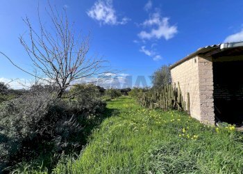 Giardino - Terreno agricolo C.da San Calogero
 
snc, Augusta - foto 15