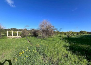 Giardino - Terreno agricolo C.da San Calogero
 
snc, Augusta - foto 17