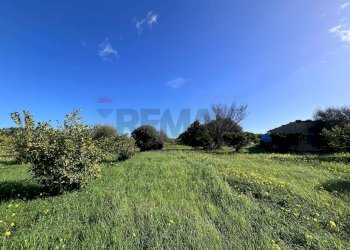 Giardino - Terreno agricolo C.da San Calogero
 
snc, Augusta - foto 18