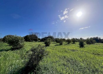 Vista delle montagne - Terreno agricolo C.da San Calogero
 
snc, Augusta - foto 19