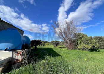 Giardino - Terreno agricolo C.da San Calogero
 
snc, Augusta - foto 30
