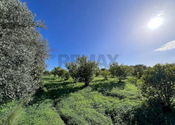 Giardino - Terreno agricolo C.da San Calogero
 
snc, Augusta - foto 42