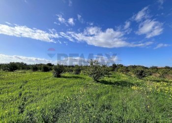 Vista delle montagne - Terreno agricolo C.da San Calogero
 
snc, Augusta - foto 44