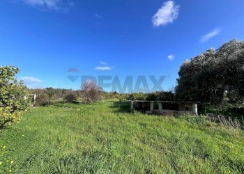 Giardino - Terreno agricolo C.da San Calogero
 
snc, Augusta - foto 46