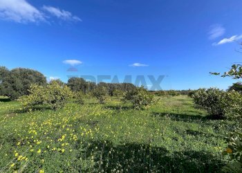 Vista delle montagne - Terreno agricolo C.da San Calogero
 
snc, Augusta - foto 49