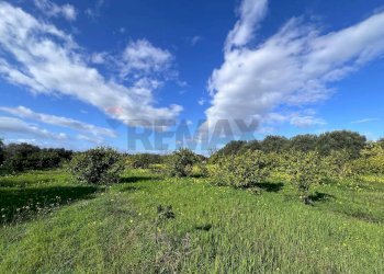 Vista delle montagne - Terreno agricolo C.da San Calogero
 
snc, Augusta - foto 50