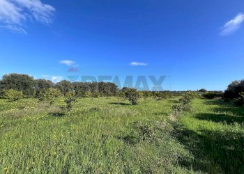 Vista delle montagne - Terreno agricolo C.da San Calogero
 
snc, Augusta - foto 51