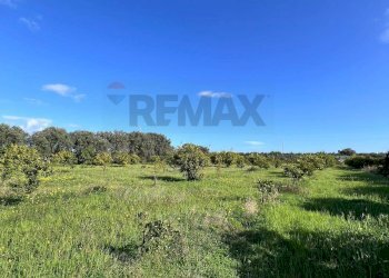 Vista delle montagne - Terreno agricolo C.da San Calogero
 
snc, Augusta - foto 53