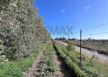 Vista delle montagne - Terreno agricolo C.da San Calogero
 
snc, Augusta - foto 55
