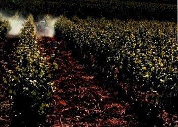 Vista delle montagne - Agricultural land baso belice
 
sn, Castelvetrano - photo 4