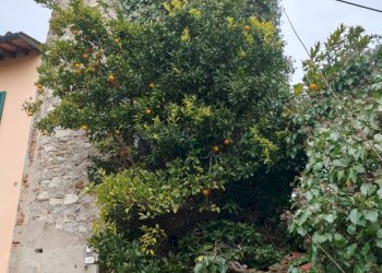 Casa all\'aperto - Rustico VIA DELLA CHIESA
 
46/D, Lucca - foto 2