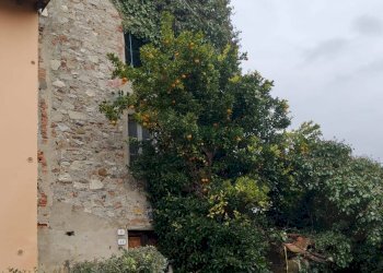 Casa all\'aperto - Rustico VIA DELLA CHIESA
 
46/D, Lucca - foto 3