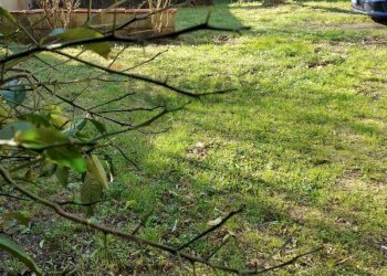 Giardino - Rustico VIA DELLA CHIESA
 
46/D, Lucca - foto 4