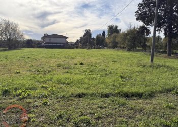 Foto 5 - Terreno agricolo strada quartaccio, Latina - foto 5