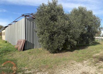 Foto 10 - Terreno agricolo strada quartaccio, Latina - foto 10