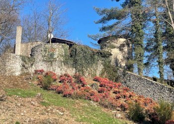 Vista delle montagne - Villa via Valmirolo, Somma Lombardo - foto 5