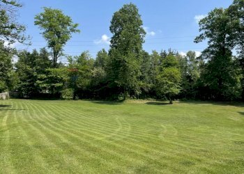 Giardino - Villa via Valmirolo, Somma Lombardo - foto 9