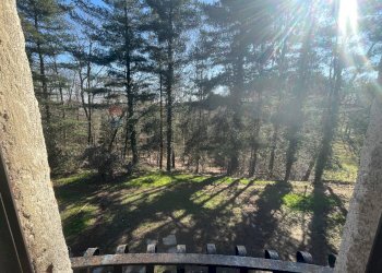 Giardino - Villa via Valmirolo, Somma Lombardo - foto 10