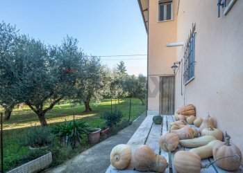 Giardino - Casa indipendente Contrada Fontanella
 
29, Vacri - foto 28