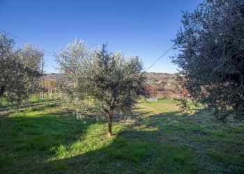 Giardino - Casa indipendente Contrada Fontanella
 
29, Vacri - foto 29