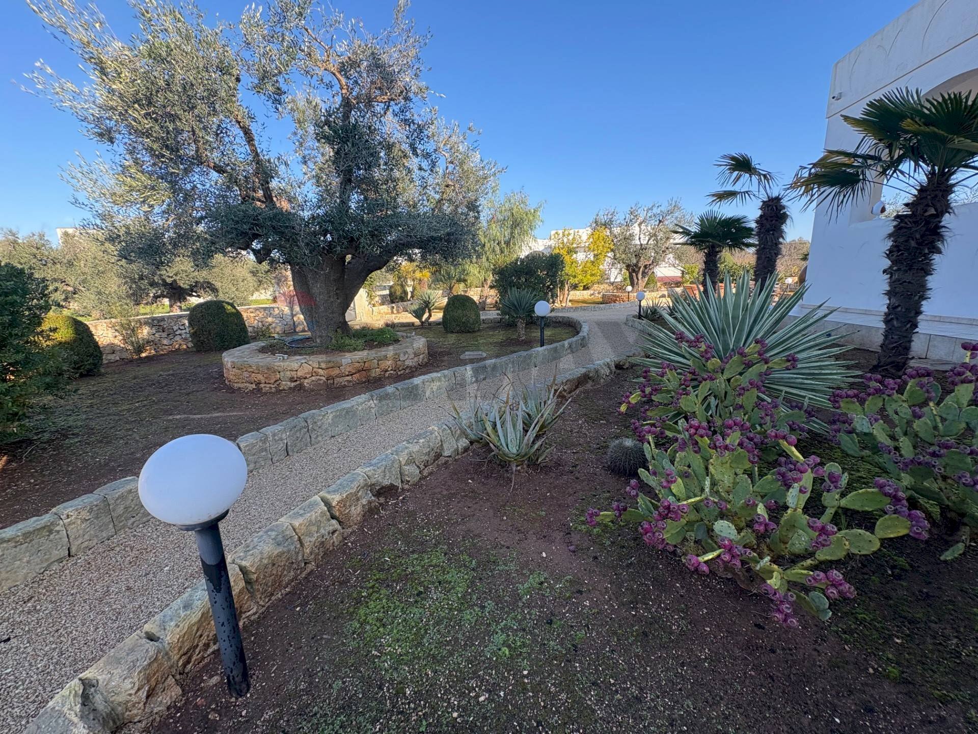 Giardino - Villa Carovigno - foto 2