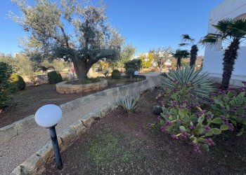 Giardino - Villa Carovigno - foto 2