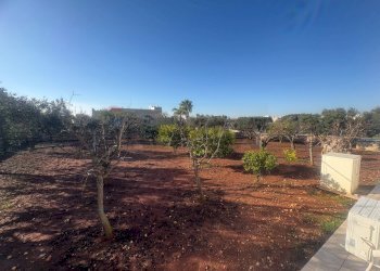 Giardino - Villa Carovigno - foto 33