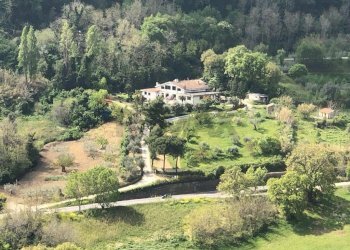 Giardino - Casa semi indipendente Silvi - foto 6