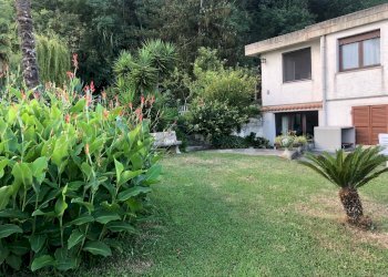 Giardino - Casa semi indipendente Silvi - foto 9