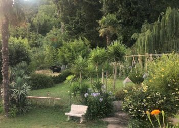 Giardino - Casa semi indipendente Silvi - foto 10