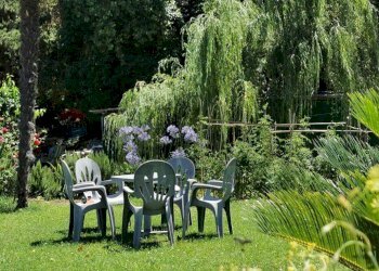 Giardino - Casa semi indipendente Silvi - foto 12