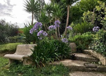 Giardino - Casa semi indipendente Silvi - foto 15