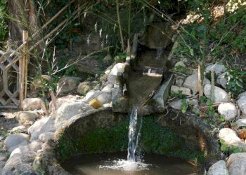 Giardino - Casa semi indipendente Silvi - foto 16