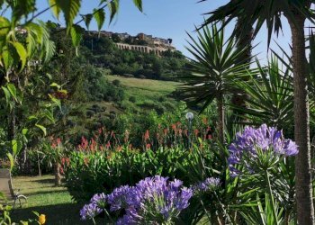 Giardino - Casa semi indipendente Silvi - foto 17