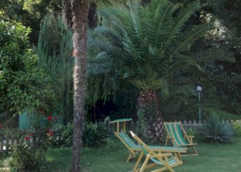 Giardino - Casa semi indipendente Silvi - foto 20