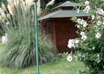 Giardino - Casa semi indipendente Silvi - foto 23