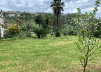 Giardino - Casa semi indipendente Silvi - foto 25