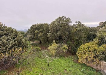 Foto 16 - Trilocale REGINA ELENA
 
0, Luogosanto - foto 16