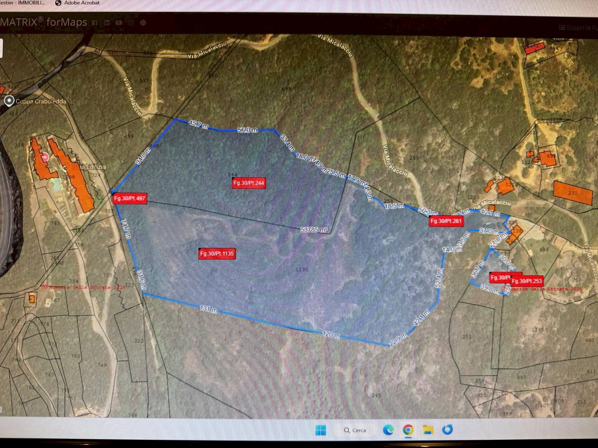 Foto 3 - Agricultural land MICALACCIU, Arzachena - photo 3