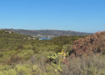 Foto 1 - Terreno agricolo MICALACCIU, Arzachena - foto 1