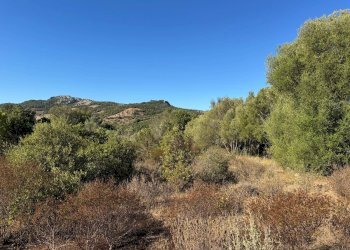 Foto 4 - Terreno agricolo MICALACCIU, Arzachena - foto 4