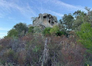 Foto 7 - Terreno agricolo MICALACCIU, Arzachena - foto 7