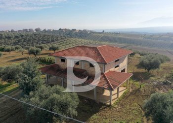 Foto 4 - Casa indipendente Contrada San Silvestro, Pianella - foto 4