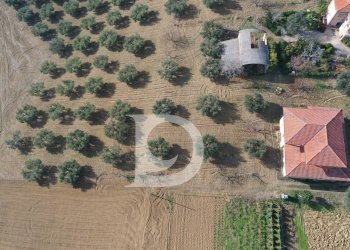 Foto 12 - Casa indipendente Contrada San Silvestro, Pianella - foto 12