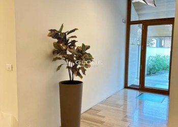 Interno palazzo - Bilocale via Parco, Ciriè - foto 7