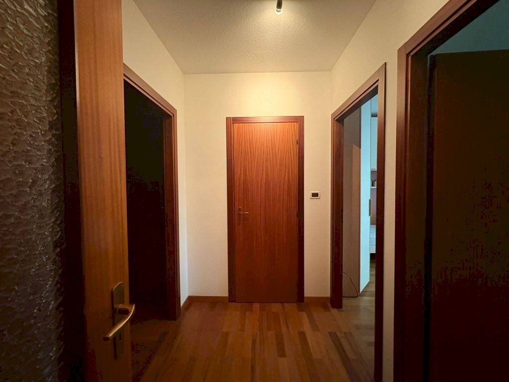 Disimpegno - Quadrilocale San Giovanni in Persiceto - foto 3