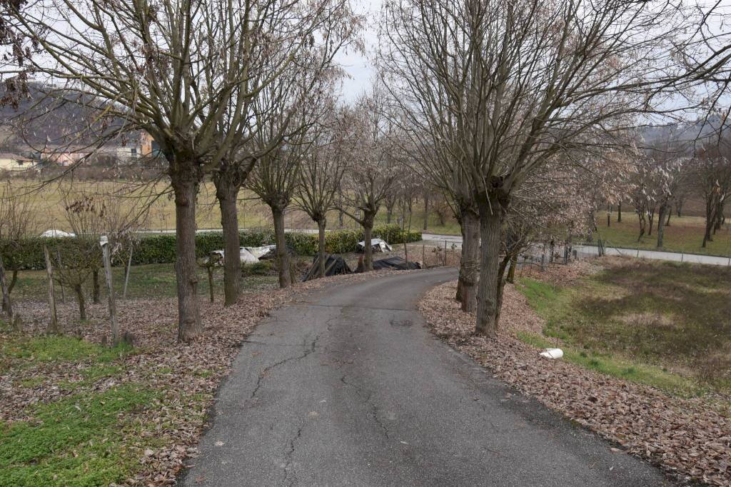 Terreno - Rustico via Giovanni Sodano, Isola d'Asti - foto 2